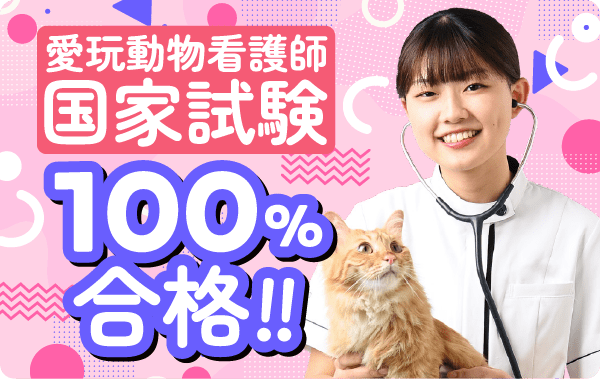 国家試験 愛玩動物看護師 100%合格！