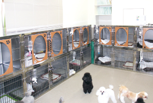 犬舎