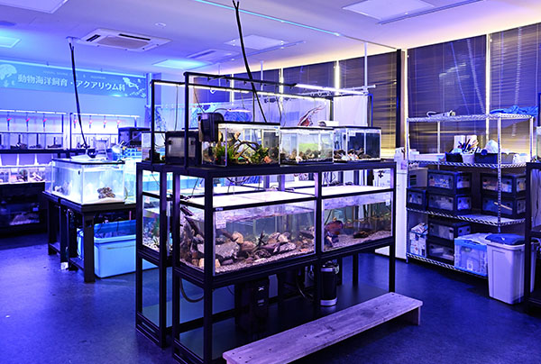 アクアリウム実習室