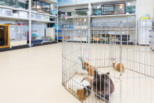 小動物飼育実習室