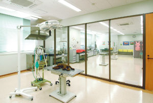 手術実習室