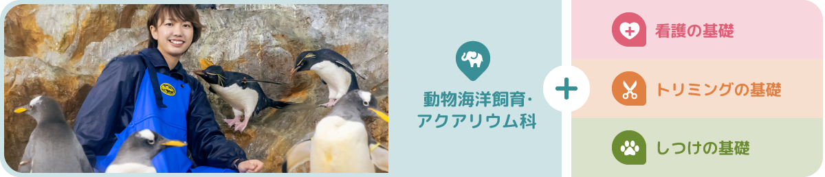 動物海洋飼育・アクアリウム科