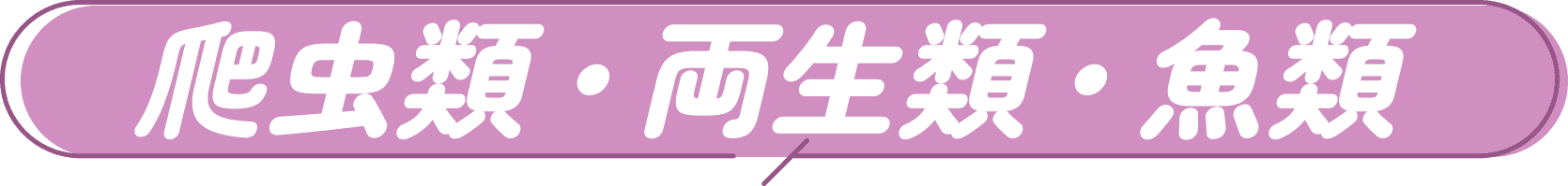 爬虫類・両生類・魚類