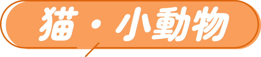 猫・小動物