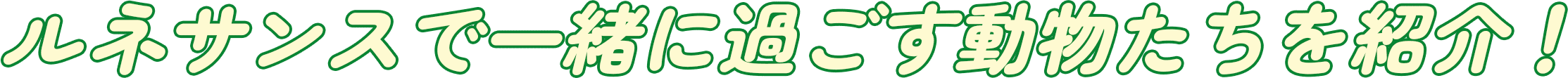 ルネサンスで一緒に過ごす動物たちを紹介！