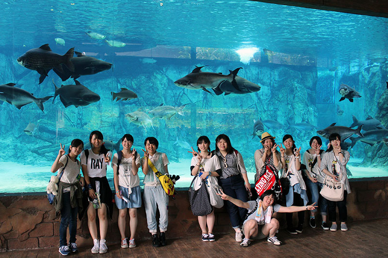 海外授業 シンガポール研修 6月 15年 動物海洋飼育 アクアリウム科ブログ ブログ 専門学校ルネサンス ペット アカデミー 静岡県浜松市で動物の看護 美容 しつけ 飼育を学ぶ