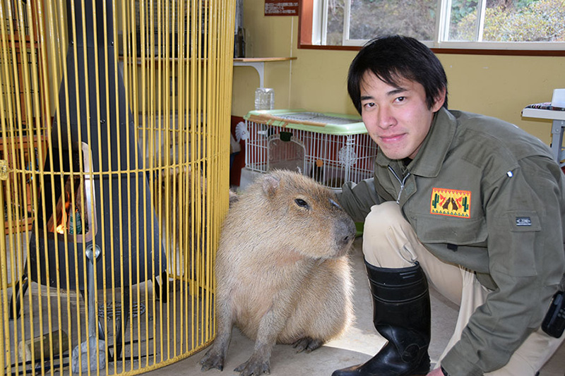 卒業生に会いに行きました 伊豆シャボテン公園 2月 16年 動物海洋飼育 アクアリウム科ブログ ブログ 専門学校ルネサンス ペット アカデミー 静岡県浜松市で動物の看護 美容 しつけ 飼育を学ぶ