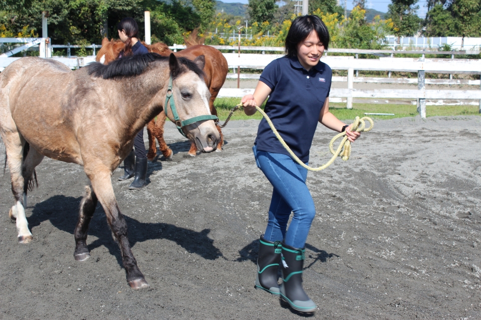 学外演習 パロミノポニークラブ 10月 16年 動物海洋飼育 アクアリウム科ブログ ブログ 専門学校ルネサンス ペット アカデミー 静岡県浜松市で動物の看護 美容 しつけ 飼育を学ぶ