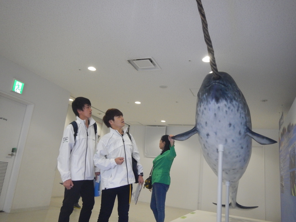 春季国内研修 大阪編 4月 17年 動物海洋飼育 アクアリウム科ブログ ブログ 専門学校ルネサンス ペット アカデミー 静岡県浜松市で動物の看護 美容 しつけ 飼育を学ぶ