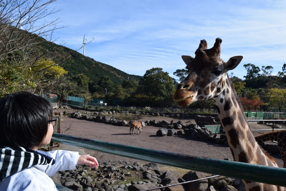 1年生 秋季国内研修 陸 伊豆アニマルキングダム 12月 17年 動物海洋飼育 アクアリウム科ブログ ブログ 専門学校ルネサンス ペット アカデミー 静岡県浜松市で動物の看護 美容 しつけ 飼育を学ぶ