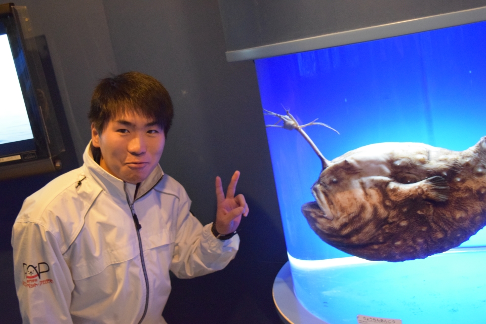飼育員実習 東海大学海洋科学博物館 12月 18年 動物海洋飼育 アクアリウム科ブログ ブログ 専門学校ルネサンス ペット アカデミー 静岡県浜松市で動物の看護 美容 しつけ 飼育を学ぶ 飼育員実習 東海大学海洋科学博物館 12月 18年 動物海洋飼育 アクアリウム科ブログ ブログ 専門学校ルネサンス ペット アカデミー 静岡県浜松市で動物の看護 美容 しつけ 飼育を学ぶ