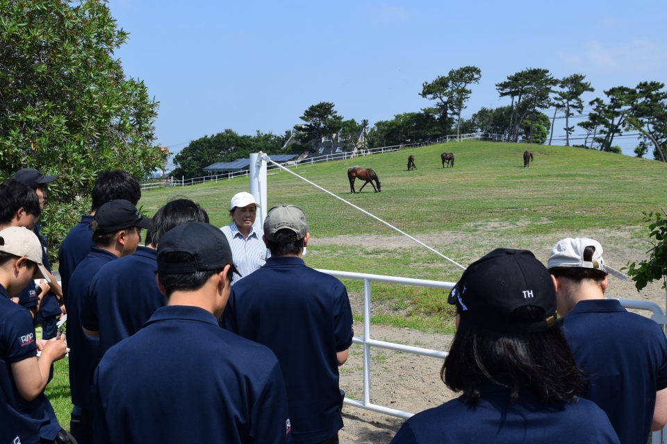 学外実習 パロミノポニークラブ 7月 19年 動物海洋飼育 アクアリウム科ブログ ブログ 専門学校ルネサンス ペット アカデミー 静岡県浜松市で動物の看護 美容 しつけ 飼育を学ぶ