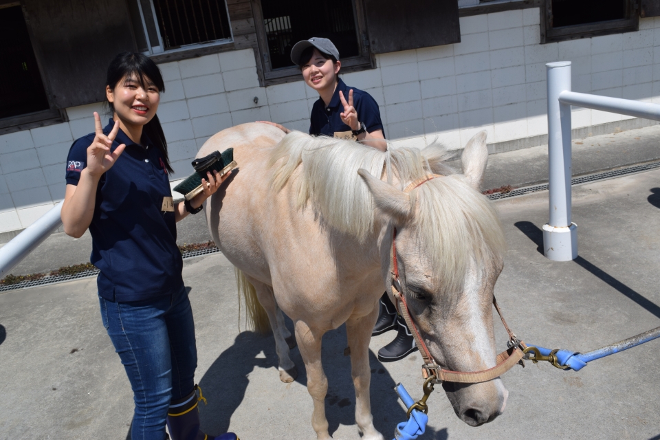 学外実習 パロミノポニークラブ 7月 19年 動物海洋飼育 アクアリウム科ブログ ブログ 専門学校ルネサンス ペット アカデミー 静岡県浜松市で動物の看護 美容 しつけ 飼育を学ぶ