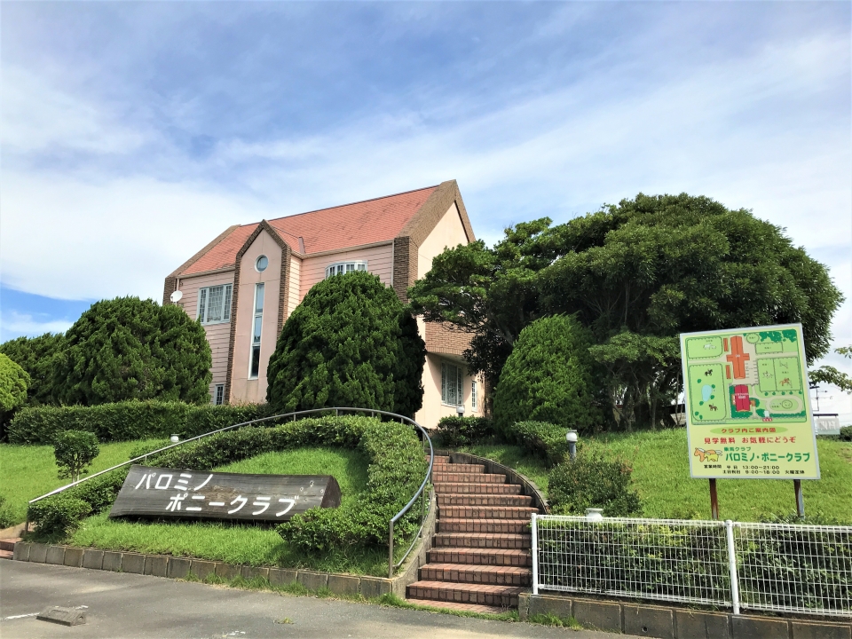 学外演習 パロミノ ポニークラブ 7月 年 動物海洋飼育 アクアリウム科ブログ ブログ 専門学校ルネサンス ペット アカデミー 静岡県浜松市で動物の看護 美容 しつけ 飼育を学ぶ