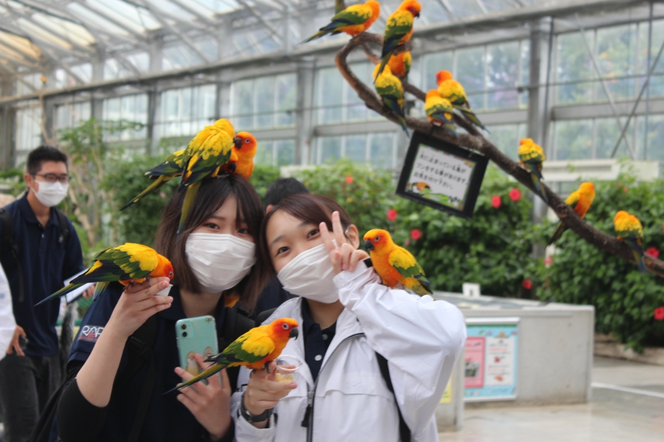 学外演習 掛川花鳥園 10月 年 動物海洋飼育 アクアリウム科ブログ ブログ 専門学校ルネサンス ペット アカデミー 静岡県浜松市で動物の看護 美容 しつけ 飼育を学ぶ