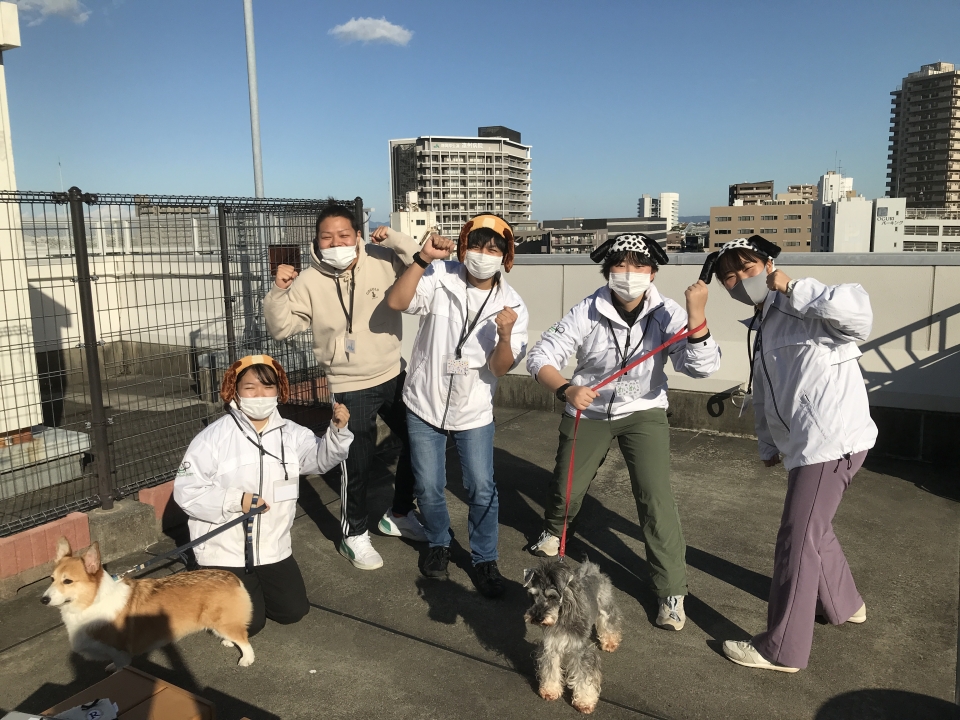 移動動物園学 11月 年 動物海洋飼育 アクアリウム科ブログ ブログ 専門学校ルネサンス ペット アカデミー 静岡県浜松市で動物の看護 美容 しつけ 飼育を学ぶ