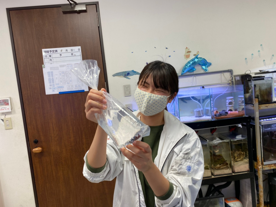 魚が来たよ 5月 21年 動物海洋飼育 アクアリウム科ブログ ブログ 専門学校ルネサンス ペット アカデミー 静岡 県浜松市で動物の看護 美容 しつけ 飼育を学ぶ 魚が来たよ 5月 21年 動物海洋飼育 アクアリウム科ブログ ブログ 専門学校ルネサンス ペット アカデミー 静岡 県浜松市で動物の看護 美容 しつけ 飼育を学ぶ