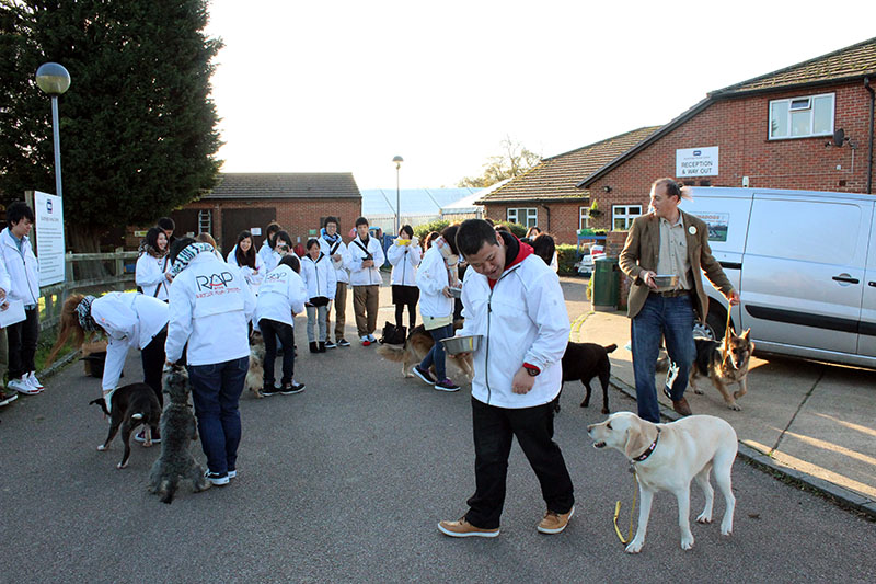 ドッグ ウェルネス科 海外授業 イギリス 12月 15年 ドッグ ウェルネス科ブログ ブログ 専門学校ルネサンス ペット アカデミー 静岡県浜松市で動物の看護 美容 しつけ 飼育を学ぶ