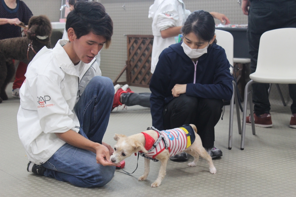 一般犬トレーニング実習最終日 11月 19年 ドッグ ウェルネス科ブログ ブログ 専門学校ルネサンス ペット アカデミー 静岡県浜松市で動物の看護 美容 しつけ 飼育を学ぶ 一般犬トレーニング実習最終日 11月 19年 ドッグ ウェルネス科ブログ ブログ 専門学校ルネサンス ペット アカデミー 静岡県浜松市で動物の看護 美容 しつけ 飼育を学ぶ