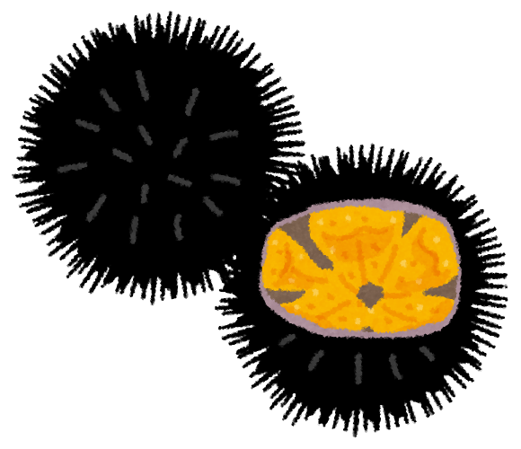 12月 オープンキャンパスのお知らせ 12月 19年 ペットエステ トリミング科ブログ ブログ 専門学校ルネサンス ペット アカデミー 静岡県浜松市で動物の看護 美容 しつけ 飼育を学ぶ