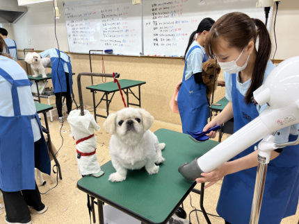 一般モデル犬実習②