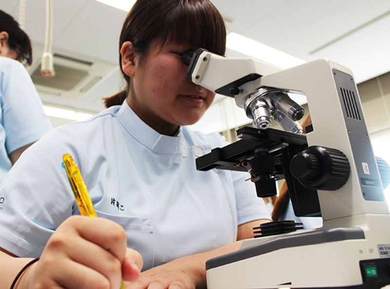 きもっsh ﾟﾛﾟsh ｵｰﾏｲｶﾞｰｯ でもかんどー ｪ ﾎﾟｯ ノミ 5月 15年 動物看護師科ブログ ブログ 専門学校ルネサンス ペット アカデミー 静岡県浜松市で動物の看護 美容 しつけ 飼育を学ぶ