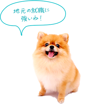 地元の就職に強いね！