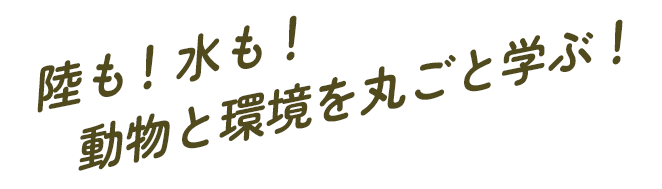 動物と自然の魅力を丸ごと学ぶ