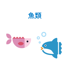 魚類