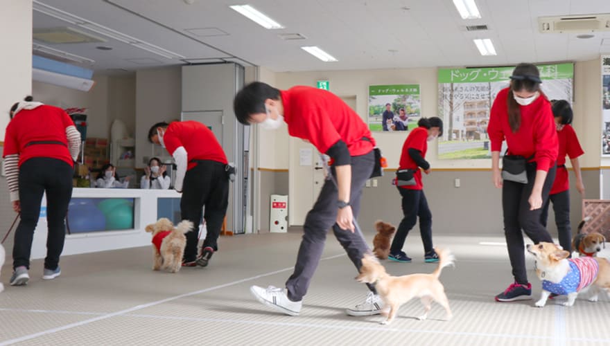 ドッグダンス発表