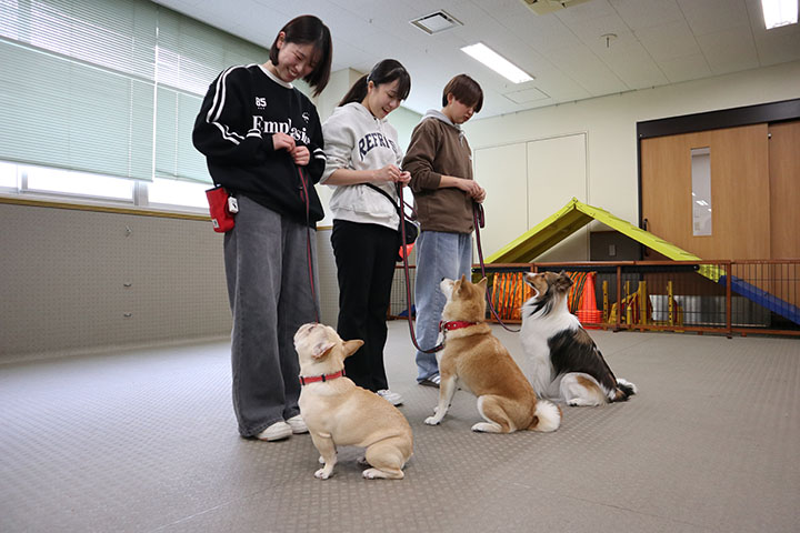 愛犬と一緒に成長できる!