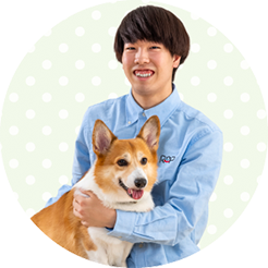 マナーハンドラーテスト
