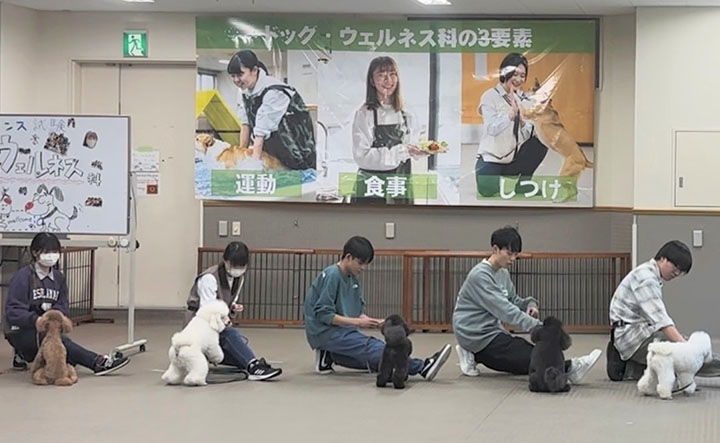 ドッグダンス発表会