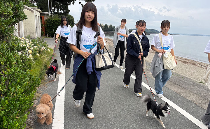 わんこ旅サークル