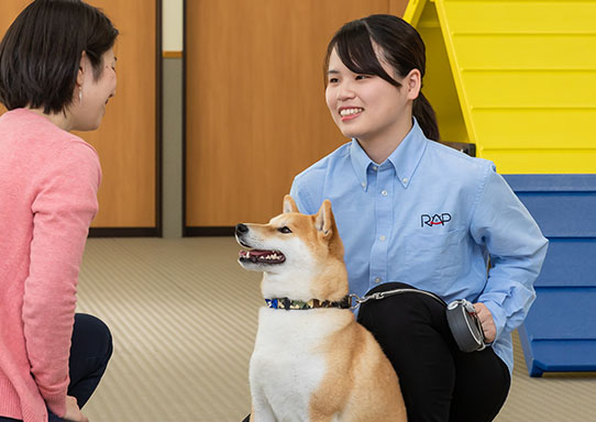 家庭犬トレーナー
