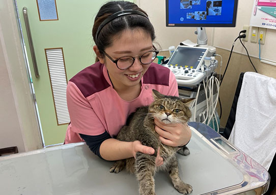 動物病院スタッフ