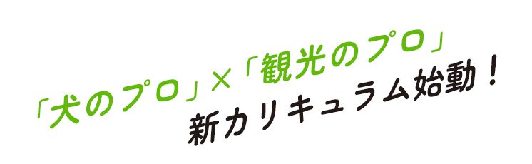 「ペット×観光」新カリキュラム登場
