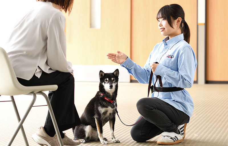 ウェルネスコースの様子