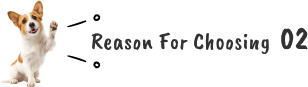 Reason For Choosing 02