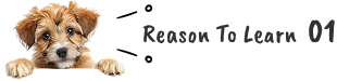 Reason To Learn 01