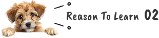 Reason To Learn 02