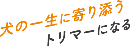 犬の一生に寄り添うトリマーになる