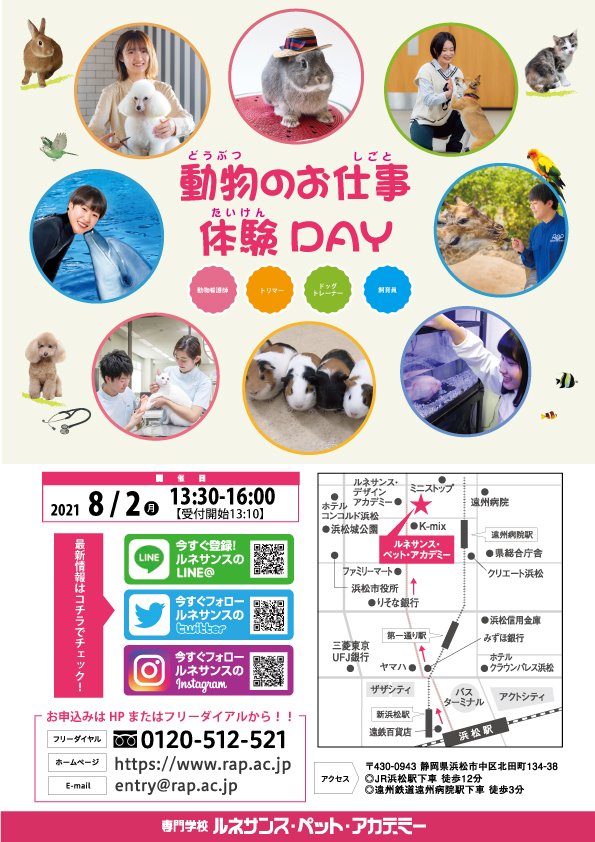 中学生向けイベント 7月 21年 Rapインフォメーション 専門学校ルネサンス ペット アカデミー 静岡県浜松 市で動物の看護 美容 しつけ 飼育を学ぶ 中学生向けイベント 7月 21年 Rapインフォメーション 専門学校ルネサンス ペット アカデミー 静岡県浜松 市で動物の看護 美容 しつけ 飼育を学ぶ