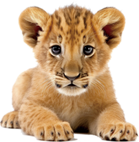 トラの赤ちゃん