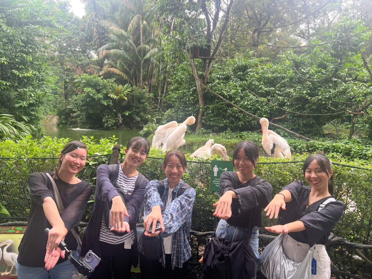 海外授業② Singapore Zoo?? | 動物海洋飼育・アクアリウム科ブログ 