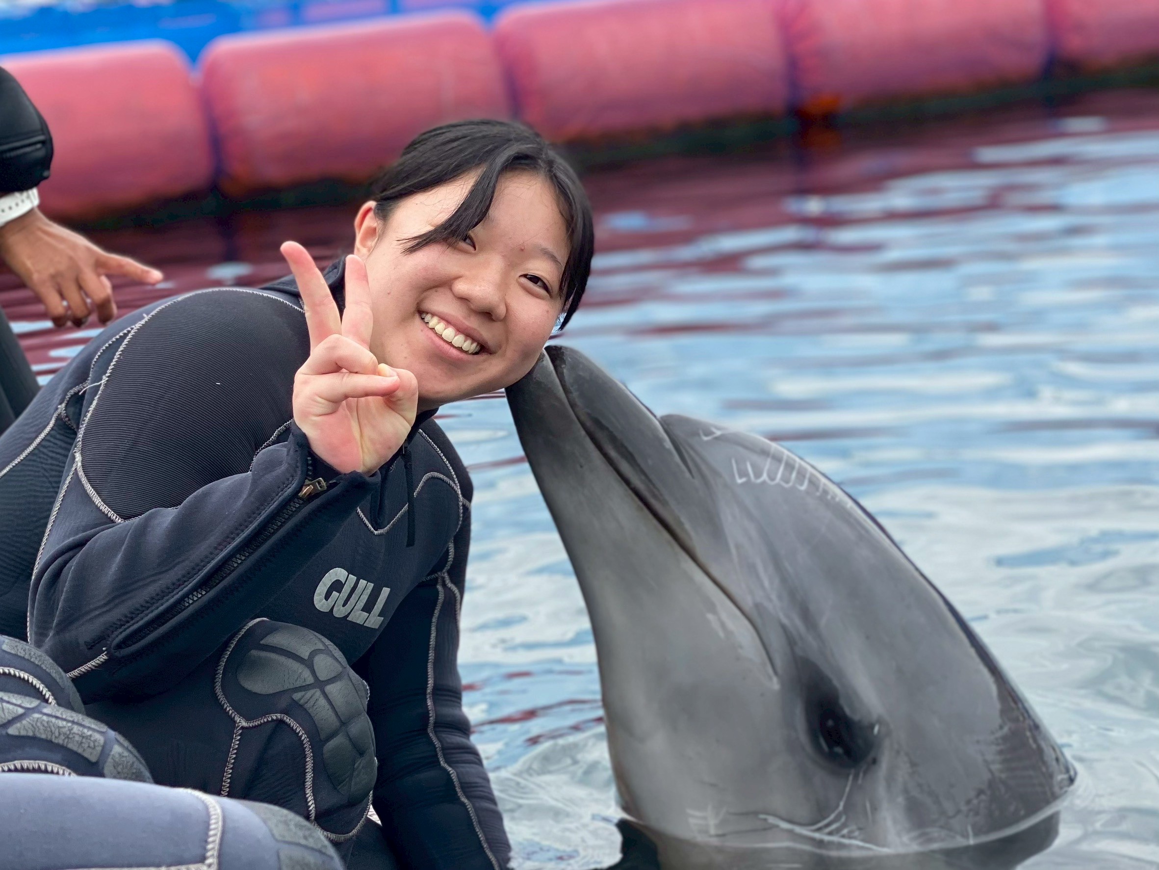 ドルフィン研修行ってきました！【研修編】 | 動物海洋飼育 