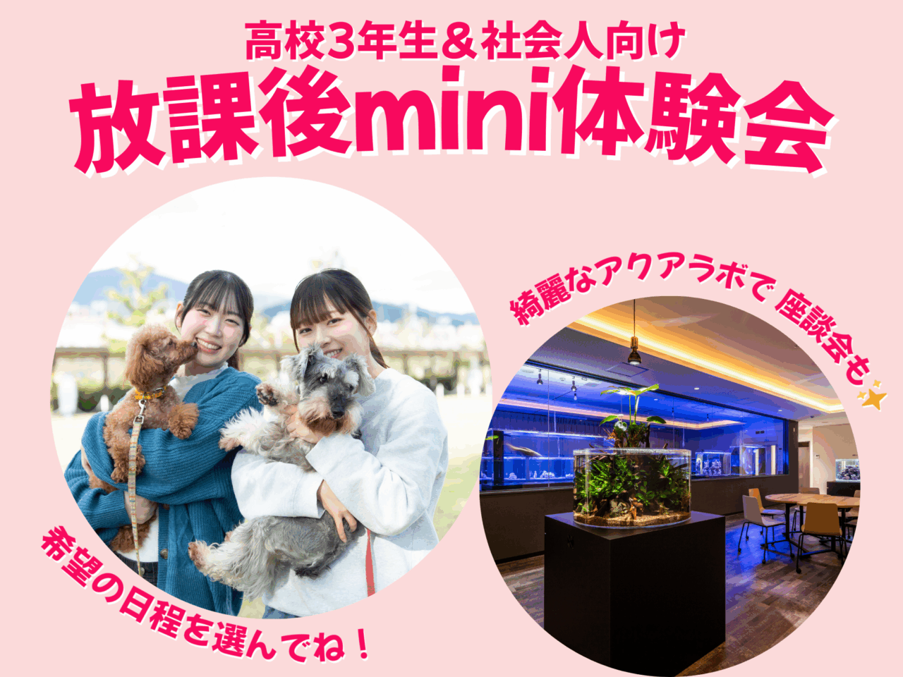 【静岡校】放課後mini体験会☆~3年生&社会人向け~