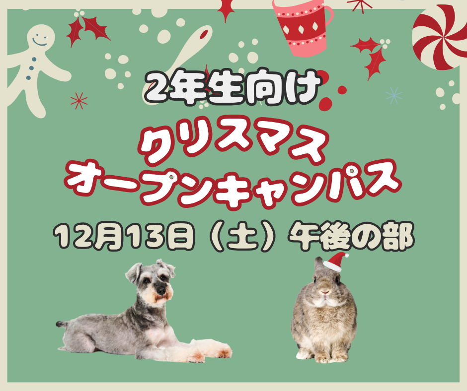 【午後の部】2年生向け~クリスマスオープンキャンパス~