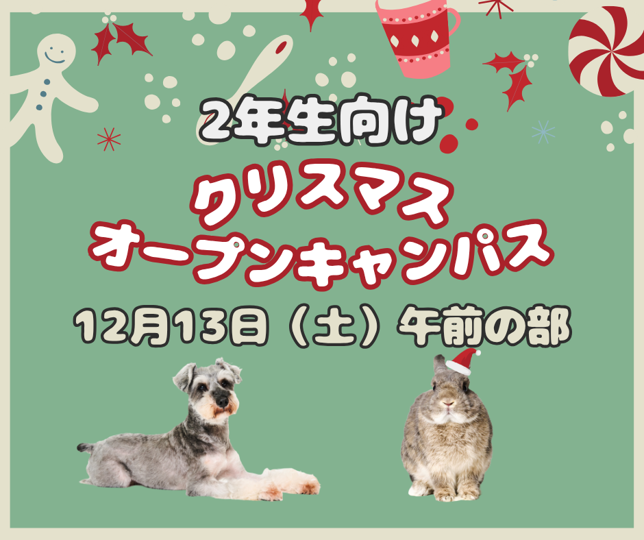 【午前の部】2年生向け~クリスマスオープンキャンパス~