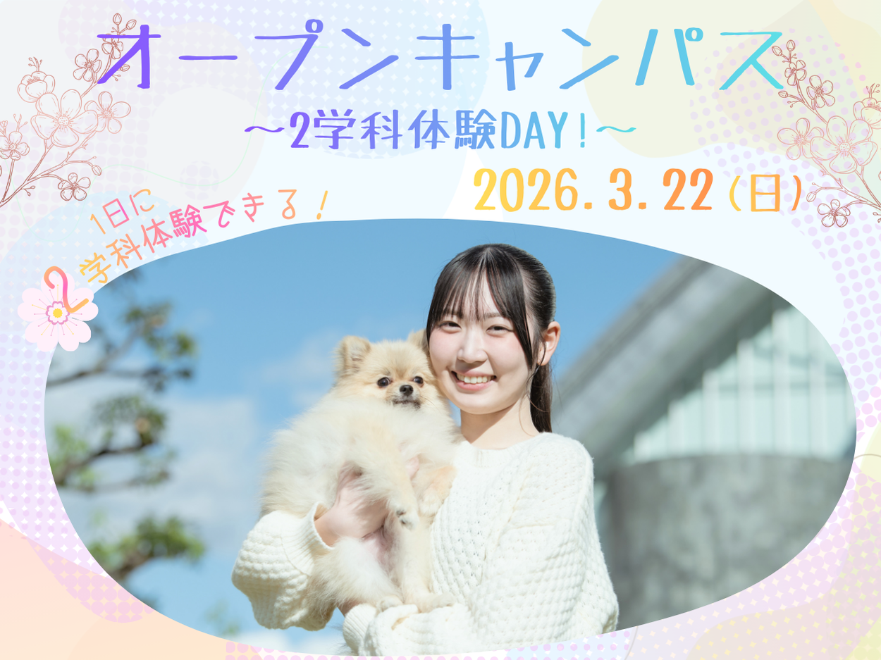 3/22 オープンキャンパス🌷2学科体験DAY！